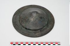 Foto von Bronzephalere (NHMW-PRAE-025544a)